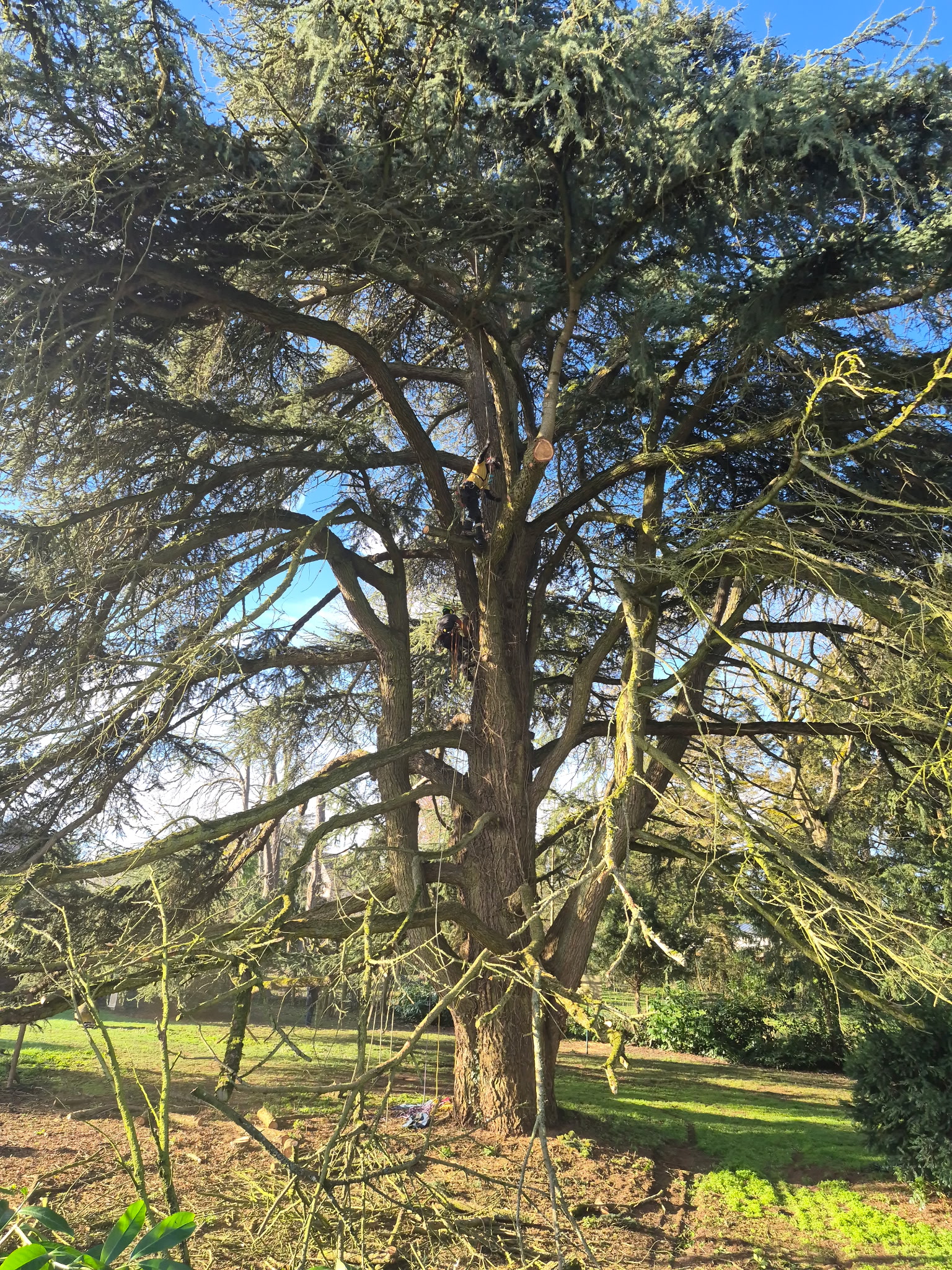 Taille sanitaire + mise en sécurité