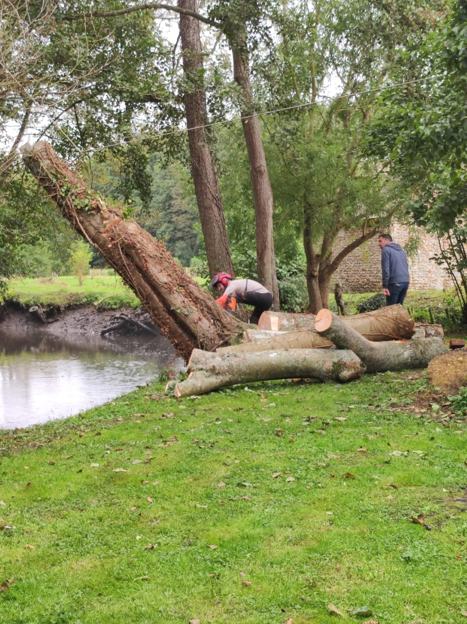 Démontage en tyrolienne, abre déraciné par la tempête